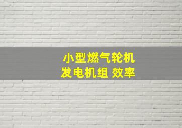 小型燃气轮机发电机组 效率